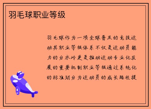 羽毛球职业等级